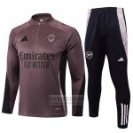 Chandal de Sudadera del Arsenal 2024-2025 Gris Purpura