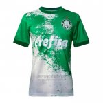 Tailandia Camiseta De Futbol Palmeiras Special 2024 Verde Gris