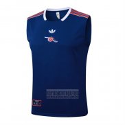 Camiseta De Futbol de Entrenamiento Arsenal Sin Mangas 2025-2026 Azul