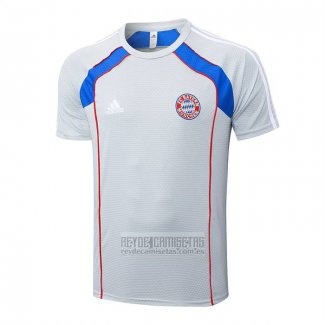 Camiseta De Futbol de Entrenamiento Bayern Munich 2025-2026 Gris