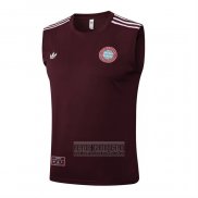 Camiseta De Futbol de Entrenamiento Bayern Munich Sin Mangas 2025-2026 Rojo