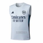Camiseta De Futbol de Entrenamiento Arsenal Sin Mangas 2025-2026 Gris