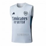 Camiseta De Futbol de Entrenamiento Arsenal Sin Mangas 2025-2026 Gris