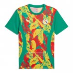 Camiseta De Futbol Pre Partido del Senegal 2024 Verde