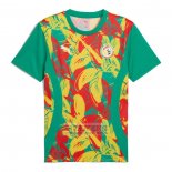 Camiseta De Futbol Pre Partido del Senegal 2024 Verde