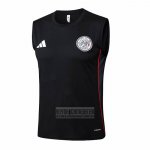 Camiseta De Futbol de Entrenamiento Ajax Sin Mangas 2025-2026 Negro