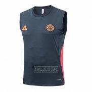 Camiseta De Futbol de Entrenamiento Bayern Munich Sin Mangas 2025-2026 Gris Oscuro
